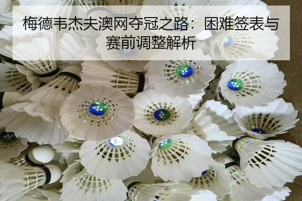 梅德韦杰夫澳网夺冠之路：困难签表与赛前调整解析